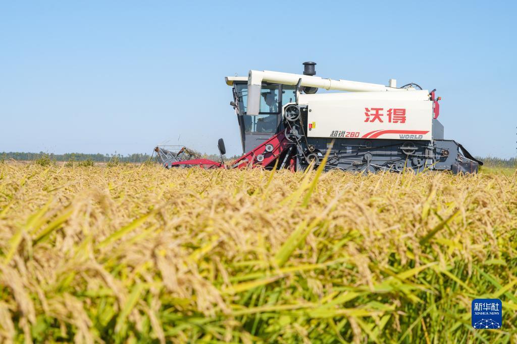 赢钱连线游戏
